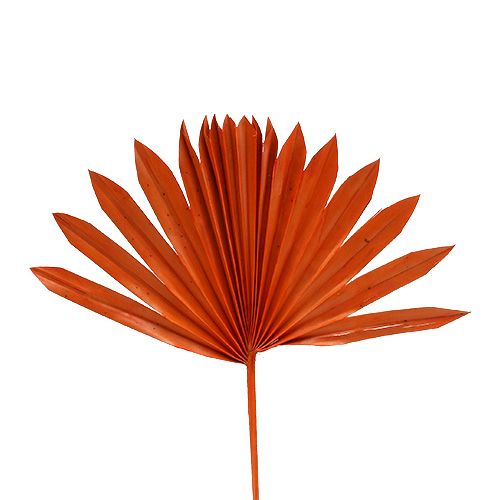 Palmspear Soleil mini Orange 50p