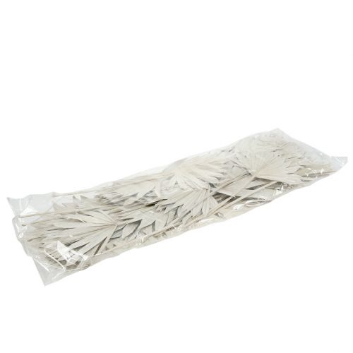 Article Palmspear Sun mini Feuilles de palmier blanchies 50 pièces