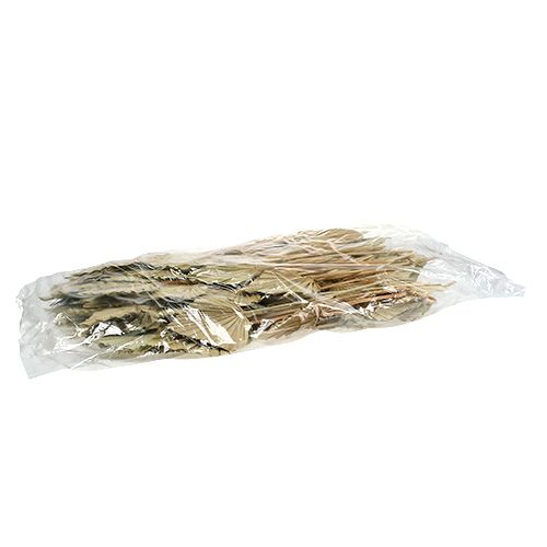 Article Palmspear mini Feuilles de palmier Nature 30-40cm 100 pcs