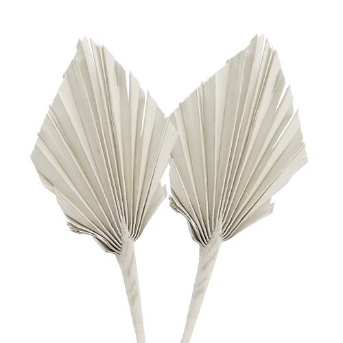 Article Mini feuille de palmier Blanc Palmspear 33-38cm 100pcs
