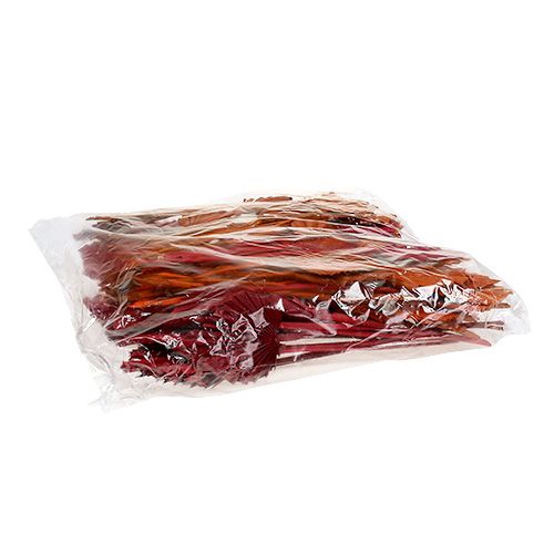 Article Palmspear assorti rouge/orange 50 pcs