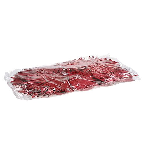 Article Palmspear Soleil Rouge 30 pcs