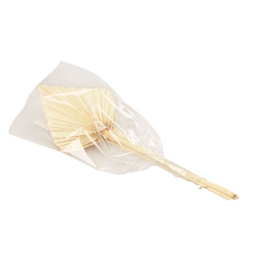 Floristik24 Feuilles de palmier Palmspear décoration naturelle blanchies 12,5×38cm 4 pcs