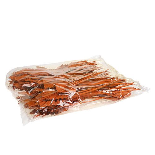 Article Palmspear Feuilles de palmier séchées Orange 65 pièces