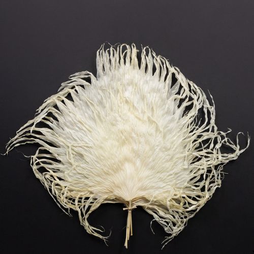 Floristik24 Feuilles de palmier séchées décoratives blanchies 45 cm 5 pièces