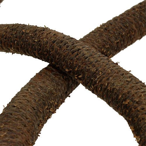 Floristik24 Cônes de palmier 3 fois décoration naturelle 10 pcs