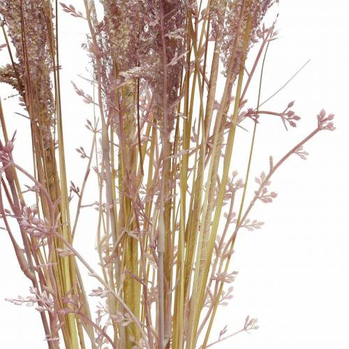 Floristik24 Crème d'herbe des pampas, violette Fleurs séchées artificielles 3pcs