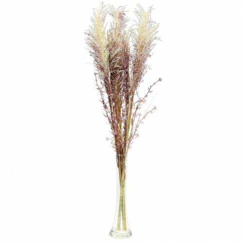 Article Crème d&#39;herbe des pampas, violette Fleurs séchées artificielles 3pcs