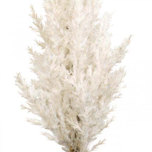Article Plantes artificielles d'herbe sèche artificielle blanche d'herbe de pampa