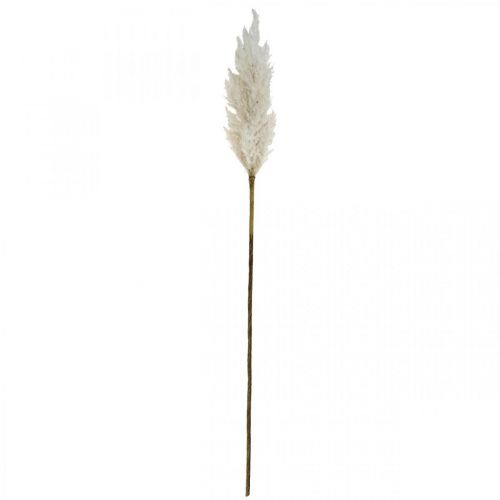 Article Plantes artificielles d'herbe sèche artificielle blanche d'herbe de pampa