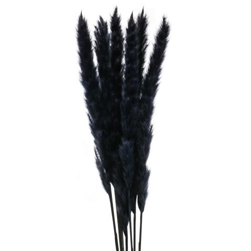 Floristik24 Herbe de la Pampa séchée noire décoration sèche L72cm 6 pcs