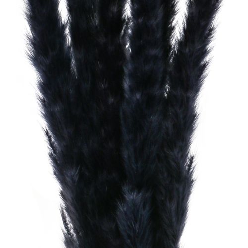Article Herbe de la Pampa séchée noire décoration sèche L72cm 6 pcs