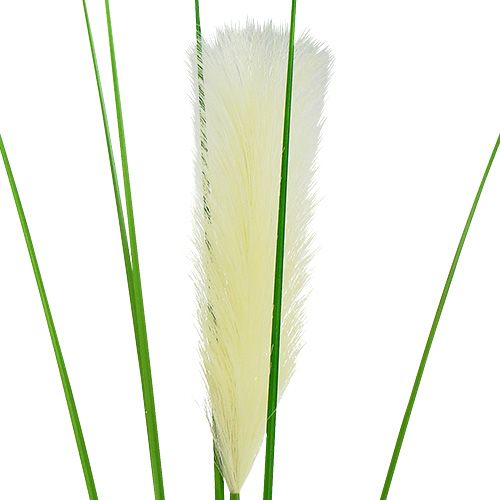 Article Herbe de la pampa avec plumet crème vert H. 100 cm
