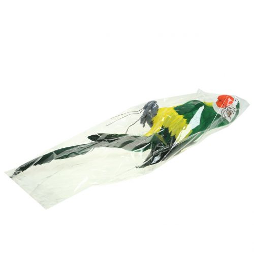 Floristik24 Deco Perroquet Vert 44cm