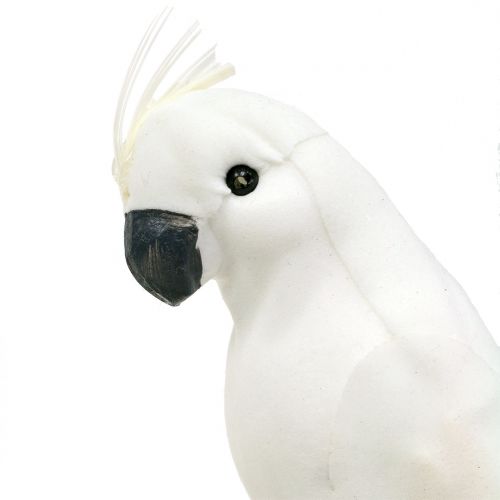 Article Perroquets avec des plumes Oiseau décoratif cacatoès artificiel blanc 4pcs