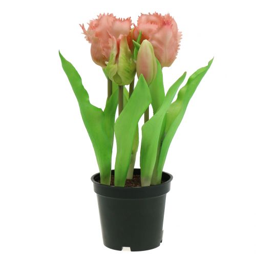 Floristik24 Parrot Tulip Real-Touch en Pot Rose 23cm