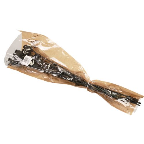 Floristik24 Fleurs séchées coquelicot capsules séchées Black Papaver 80g