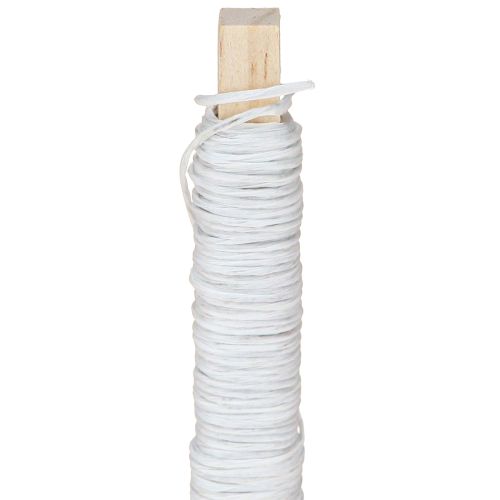 Article Fil de cordon en papier enroulé Ø0,8mm 22m blanc