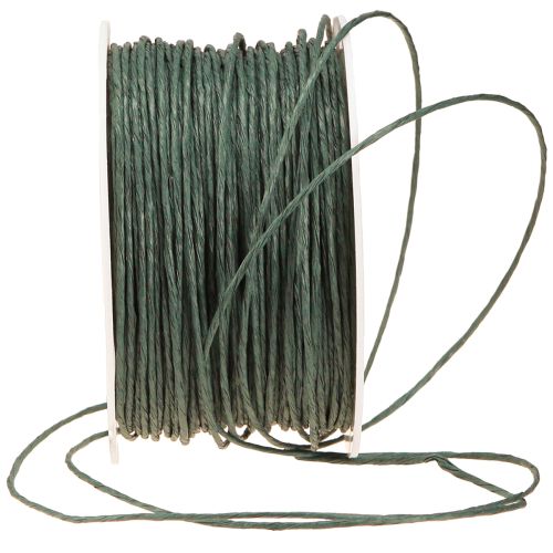 Article Cordon papier enroulé Ø2mm 100m Vert
