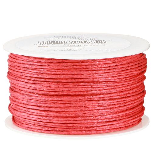 Floristik24 Cordon de papier enroulé Ø2mm 100m rouge