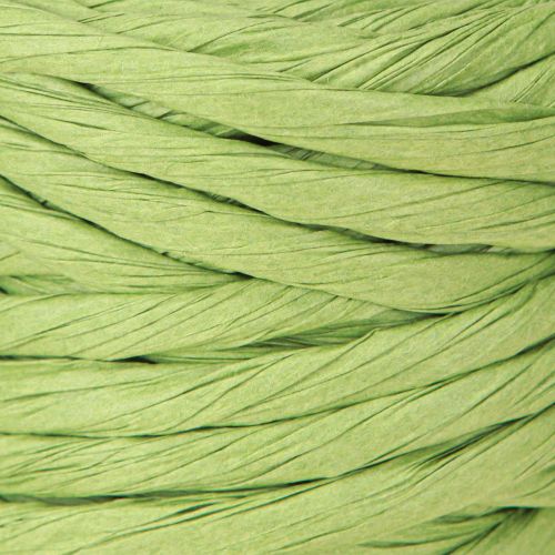 Article Cordon décoratif vert en papier sans fil largeur 6 mm 23 m