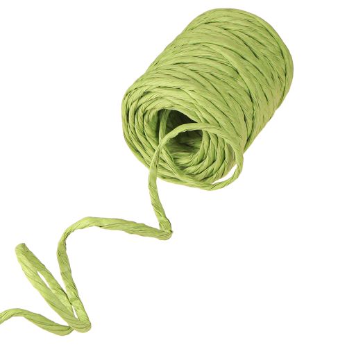 Article Cordon décoratif vert en papier sans fil largeur 6 mm 23 m