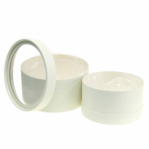Boîte à fleurs ronde en carton crème Ø15,5/19cm lot de 2