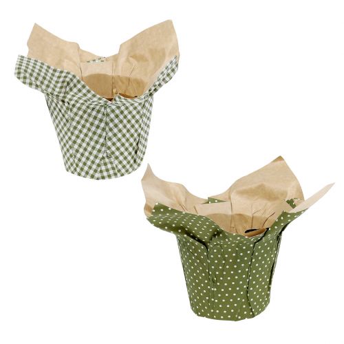 Floristik24 Pot en papier avec motif vert-blanc Ø9.5cm 12pcs