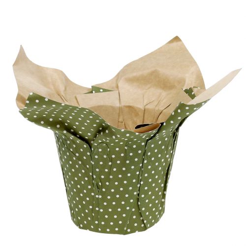 Floristik24 Pot en papier à motif vert-blanc Ø9,5cm 12 pcs