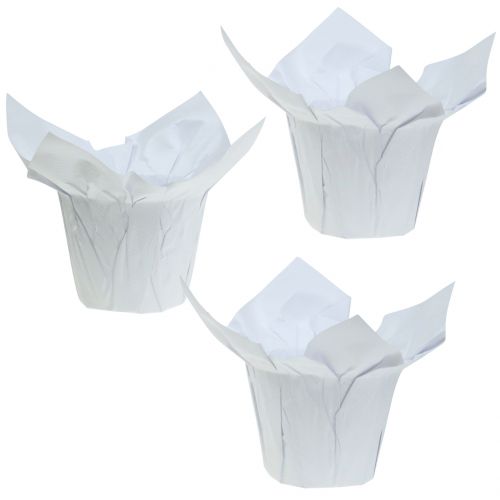 Floristik24 Pots en papier blanc Ø12cm 12pcs