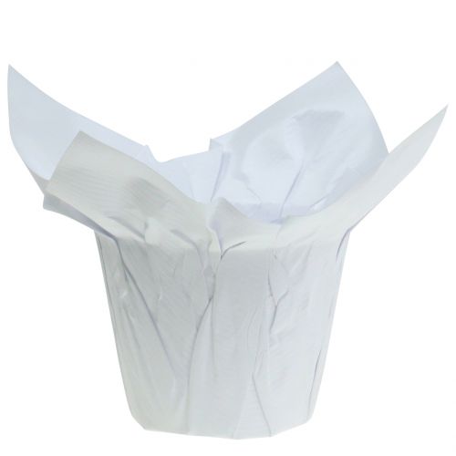 Floristik24 Pots en papier blanc Ø10cm 12pcs