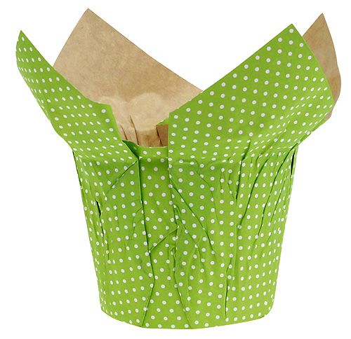 Floristik24 Pot en papier Ø10cm H8cm vert 8pcs