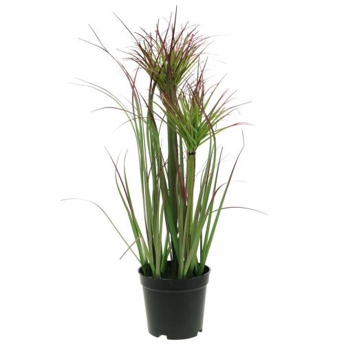 Gazon artificiel en pot, vert artificiel, violet rouge 45cm