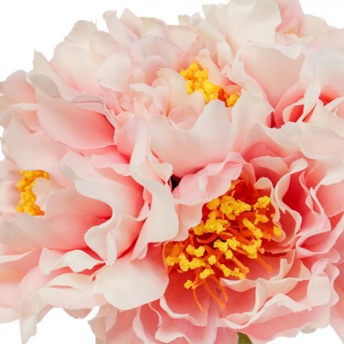 Article Paeonia Pivoine Fleur Artificielle Pivoine Rose Ø6cm 28cm 7 pcs