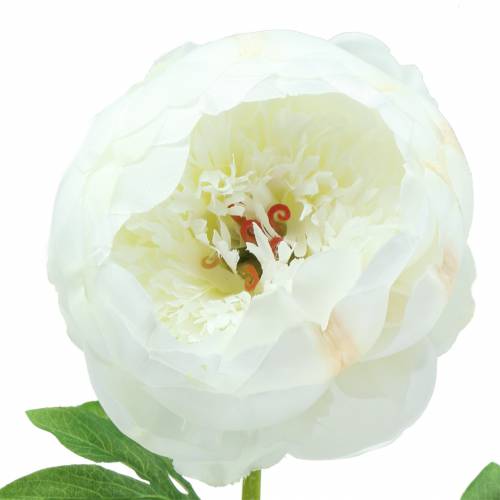 Article Pivoine blanche 59 cm