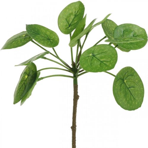 Floristik24 Peperomia Plante verte artificielle avec feuilles 30cm