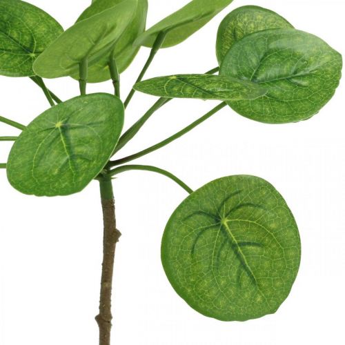 Article Peperomia Plante verte artificielle avec feuilles 30cm