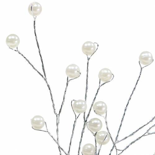 Floristik24 Branche de perles champagne L18cm 2 pcs