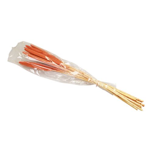 Article Epis de millet perle déco Mil à chandelle Orange 70cm 10pcs
