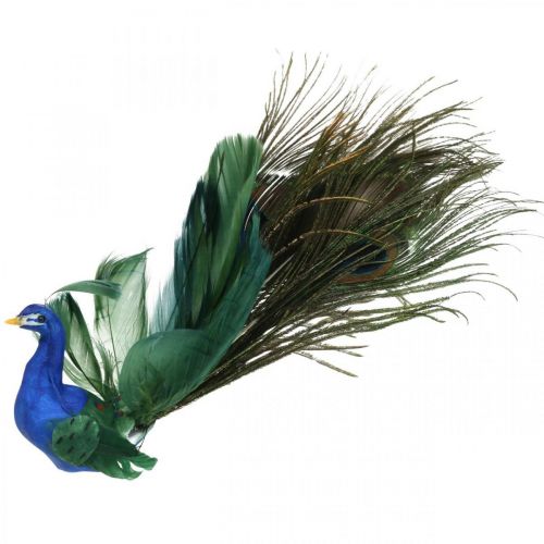 Floristik24 Oiseau de paradis, paon à pincer, oiseau plume, décoration oiseau bleu, vert, coloré H8.5 L29cm