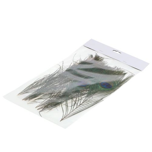Floristik24 Plumes de paon 22 – 30,5 cm 12 p.