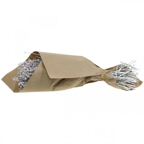 Floristik24 Baies de poivre enneigé, décoration hivernale, fleurs séchées, Avent, poivre rose lavé blanc 170g