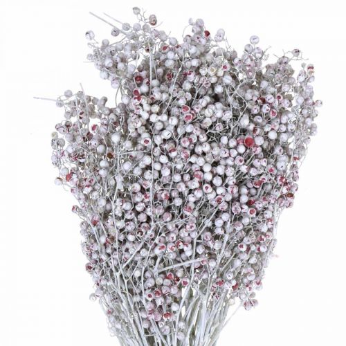 Floristik24 Baies de poivre enneigé, décoration hivernale, fleurs séchées, Avent, poivre rose lavé blanc 170g