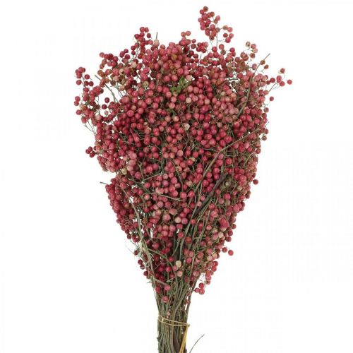 Floristik24 Baies de poivre, fleurs séchées, Avent, poivre rose, décorations d&#39;hiver L40–45cm 200g
