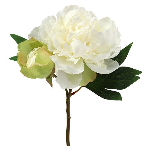 Floristik24 Pivoines avec bourgeon blanc L30cm 2pcs