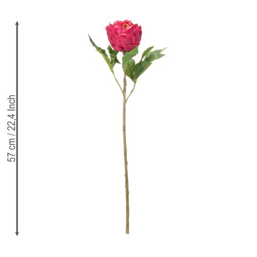 Article Pivoine artificielle pour une décoration intérieure élégante, 58 cm