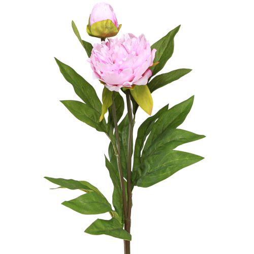 Floristik24 Pivoine fleurs artificielles rose avec longue tige 70cm 3pcs