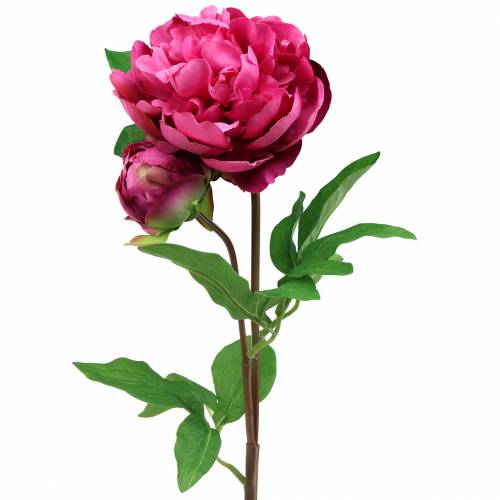 Floristik24 Pivoine fleur artificielle avec fleur et bourgeon violet magenta 68cm