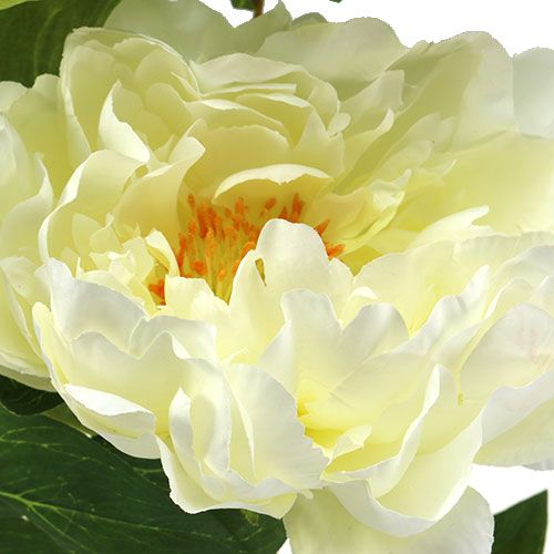 Article Rose de Pentecôte artificielle crème L. 70 cm