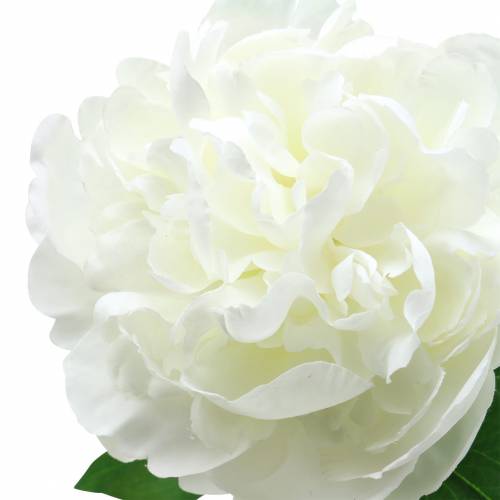 Article Pivoine blanche 72cm